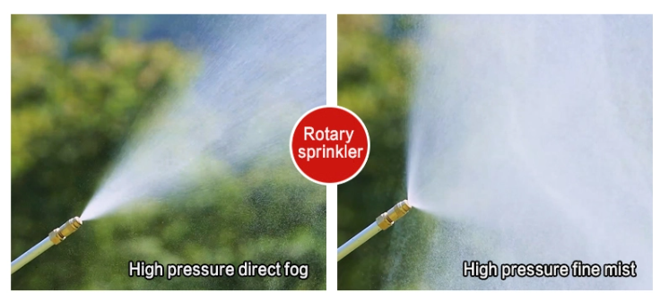 grenouille directe et brume fine